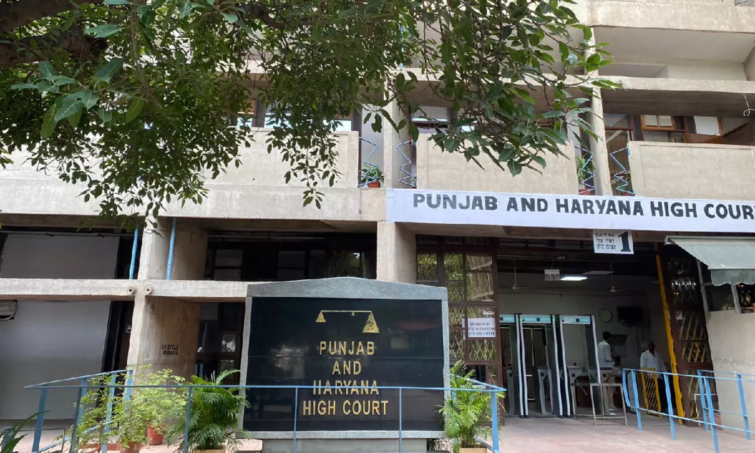 Punjab & Haryana HC 2026